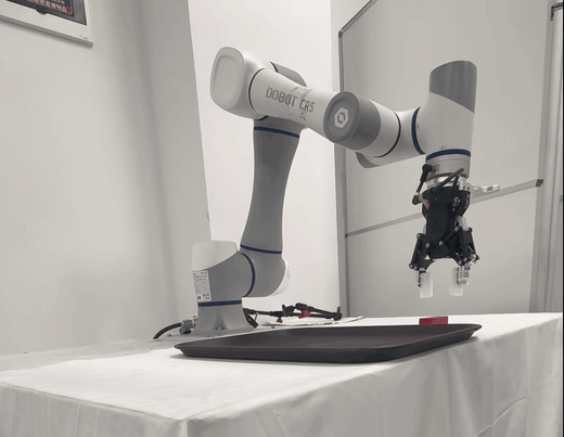 CR5 grasping real-robot demo